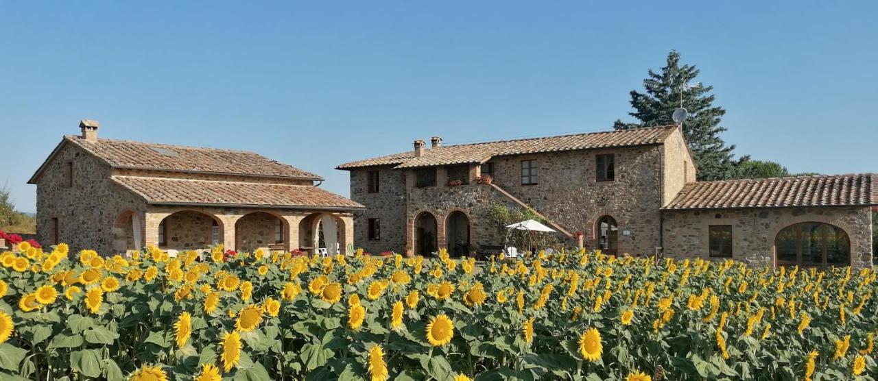 Casetta Della Pina Monticiano Exterior photo